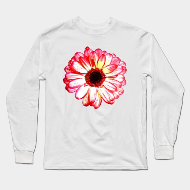 Dahlia Flower Long Sleeve T-Shirt by PhotoArts